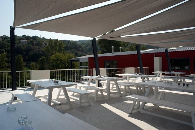 Wine, Beer, Olive Oil Tasting Private Tour (price per group of 6) - What the price really includes