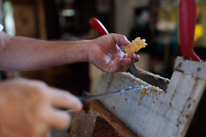 Wine, Honey & Olive Oil of Solta Island - Tasting Tour - Who will enjoy this experience most?