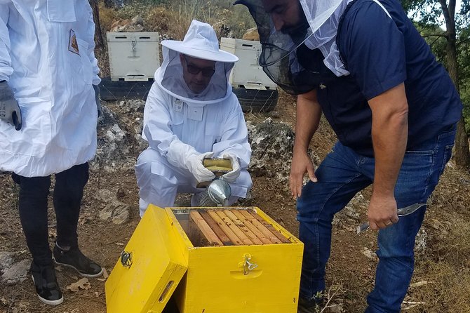 Wine, Olive Oil, and Honey Tour with Winemaker - Key points to know