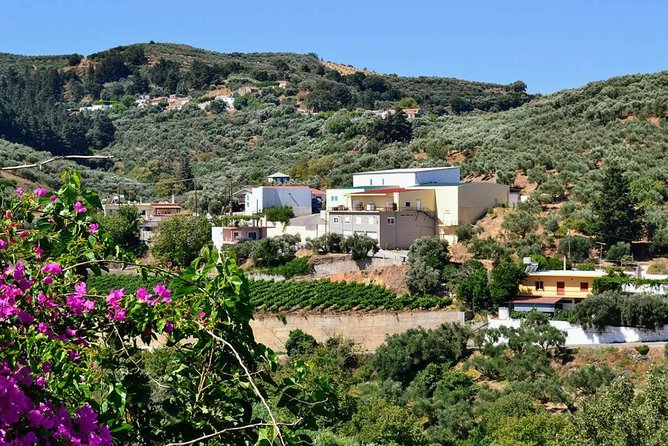 Wine & Olive Oil tasting one day private tour in Crete - Why this private Crete tour works well