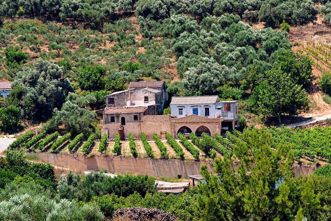 Wine & Olive Oil tasting one day private tour in Crete - The Venetian monastery and its olive-oil tradition
