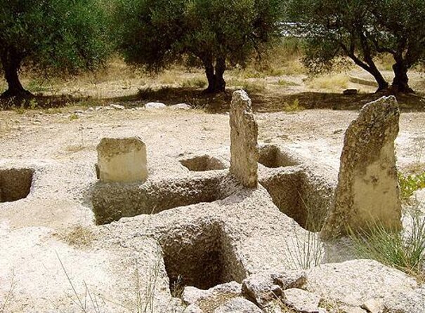 Wine Raki Olive Oil Tasting and Pottery - Private Tour - Key things to know before booking