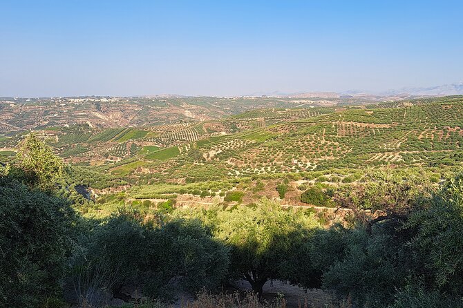 Wine Raki Olive Oil Tasting and Pottery - Private Tour - Alagni and Lyrarakis Winery: five wines with Cretan cheese