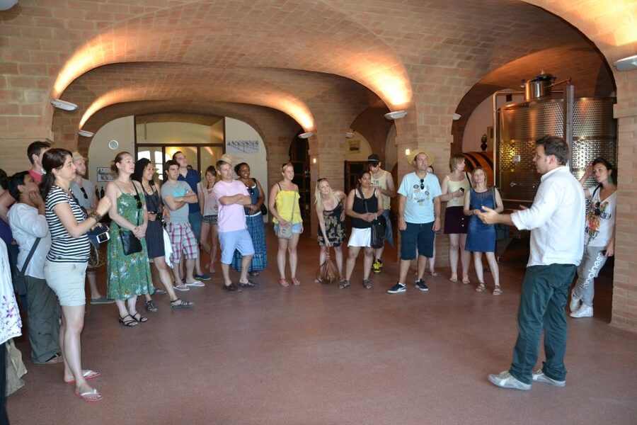 Wine tasting tour with olive oil and salami - Should you book this Emilia-Romagna wine tour?