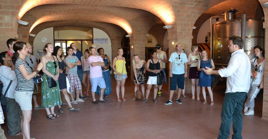 Wine tasting tour with olive oil and salami - What you will taste at the table