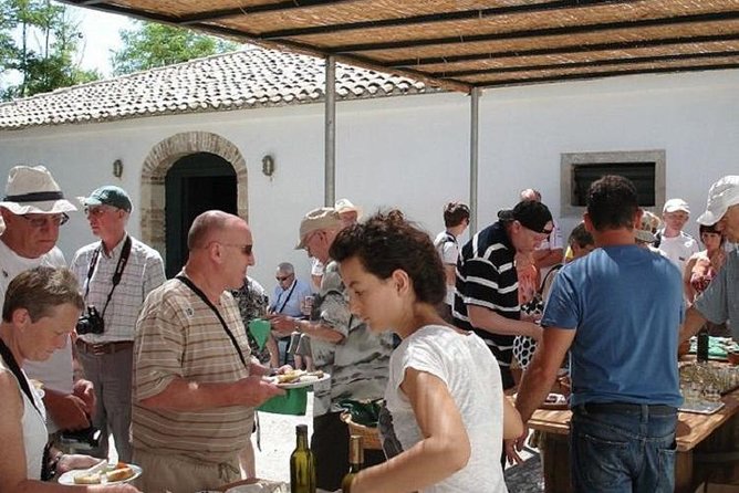Winery tour with Wine and Olive tasting in Corfu - The setting around Ropa Valley