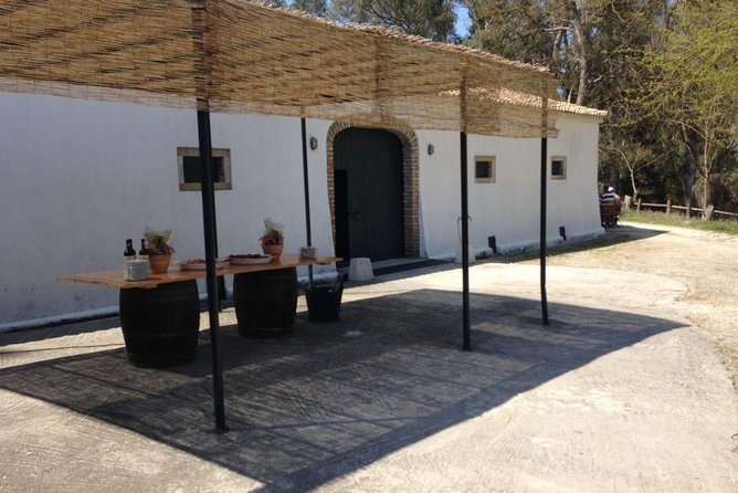Winery tour with Wine and Olive tasting in Corfu - Price, timing, and group size