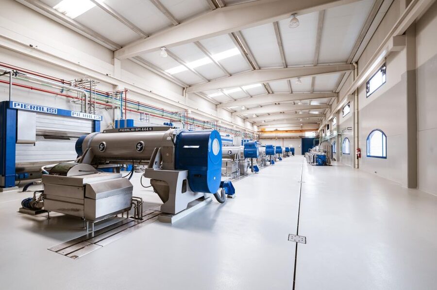 XXI Century Olive Oil Mill Tour - Following the Olives From Arrival to Bottle