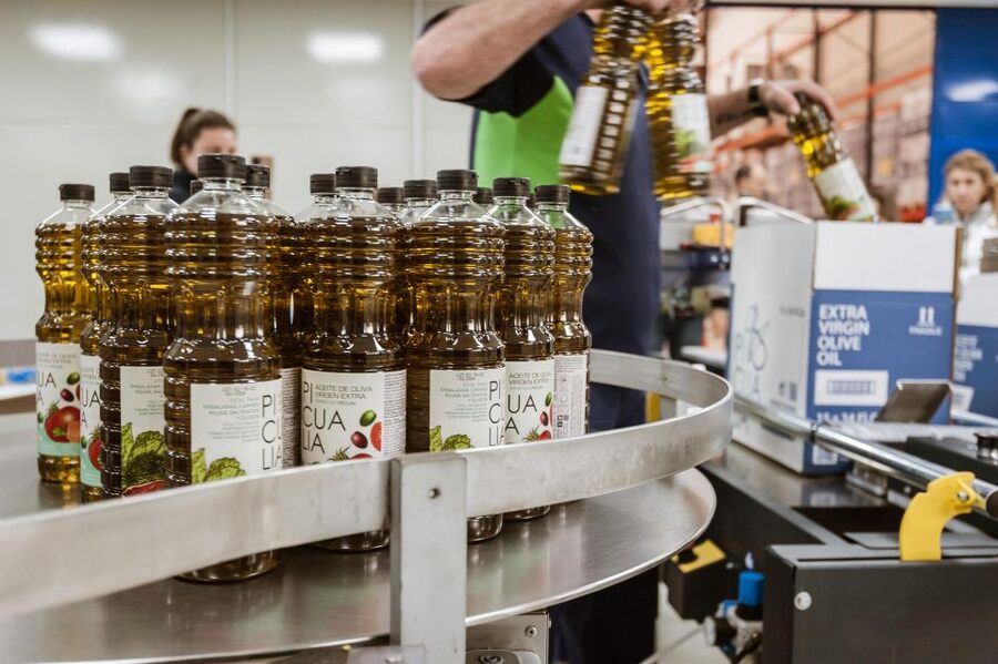 XXI Century Olive Oil Mill Tour - What You Learn About Olive Varieties and Quality