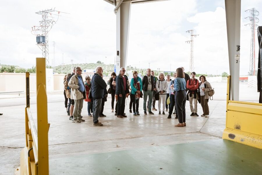 XXI Century Olive Oil Mill Tour - Accessibility and Practical Timing