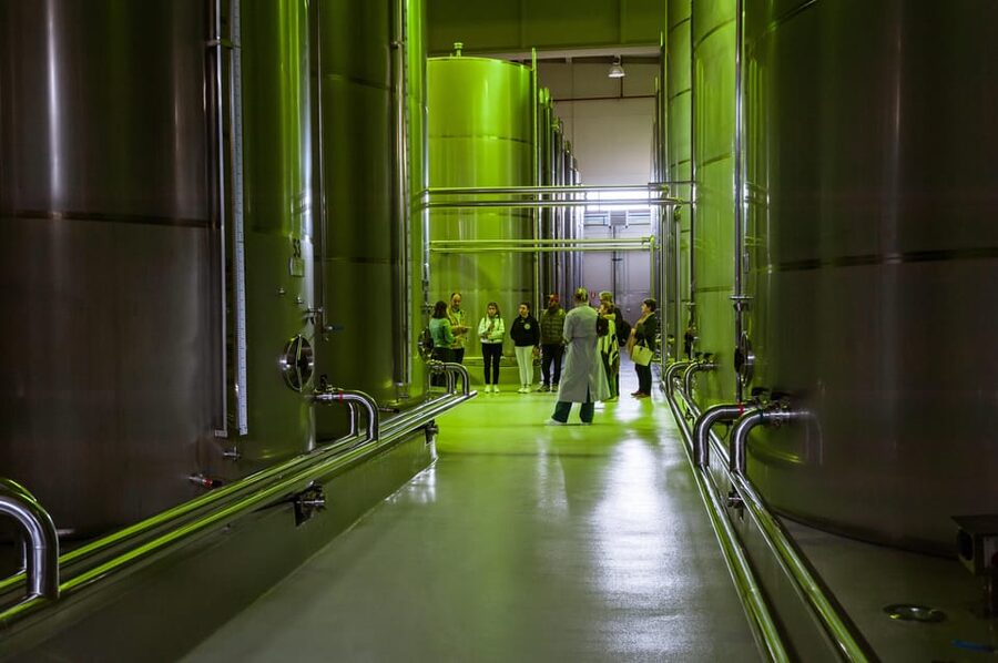 XXI Century Olive Oil Mill Tour - Who Will Enjoy Picualia Most?