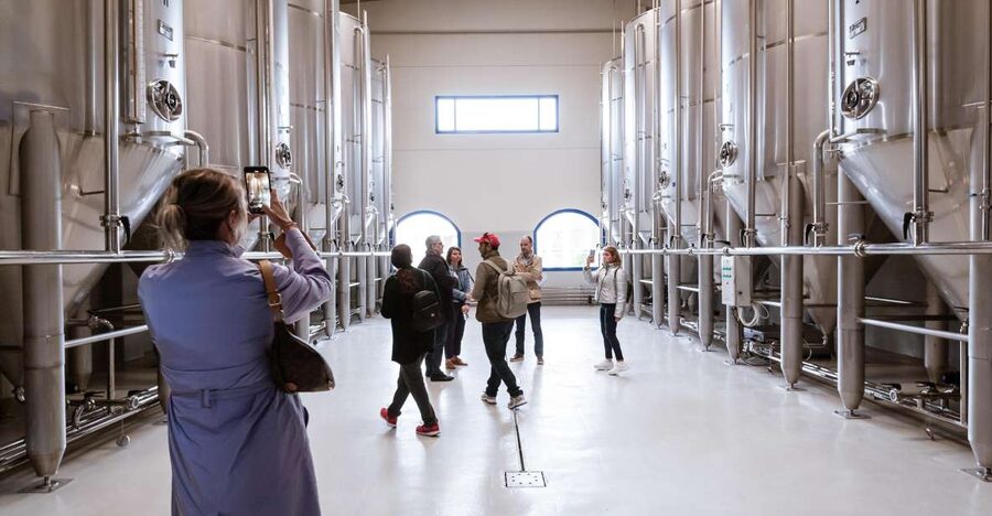 XXI Century Olive Oil Mill Tour - FAQ