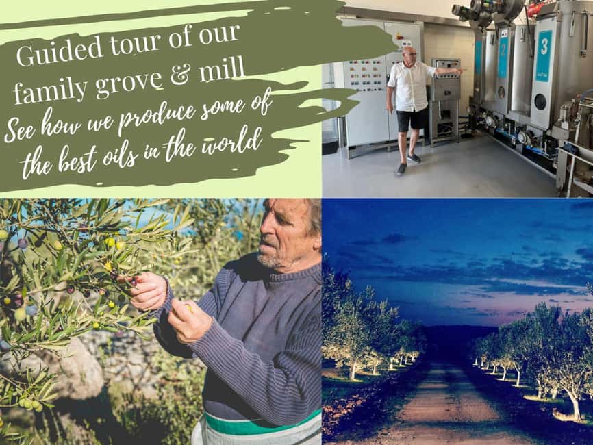 Zadar Olive Oil & Wine with Dalmatian Views & History - Croatian sparkling wine and three native-style pours