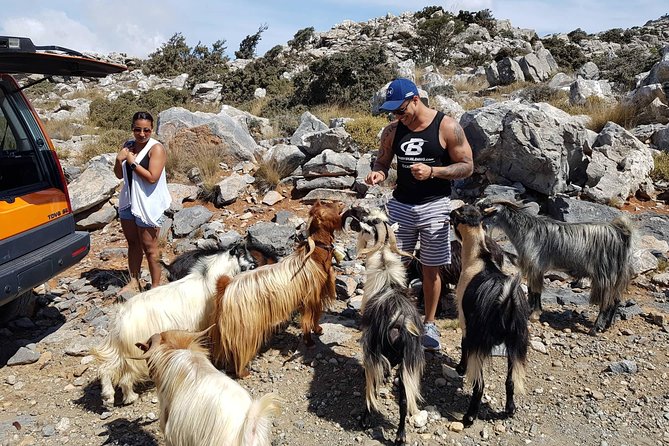 Zeus Cave, Lassithi Plateau, Olive Oil Factory, Kritza, Pottery - Guides, vehicles, and group size
